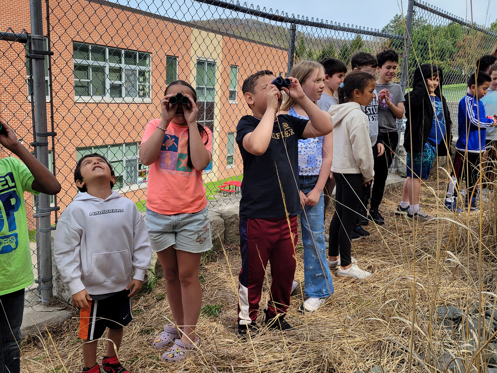 Students using binoculars outside